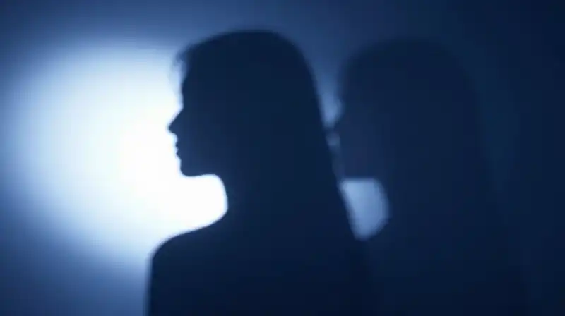 Geometric silhouettes split between bright light and soft shadows